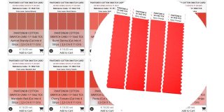 PANTONE ® COTTON SWATCH CARD en 2801 COLORES ÚNICOS, doble capa, cortado en 4 tiras, cada una de 2,5 cm x 11 cm...